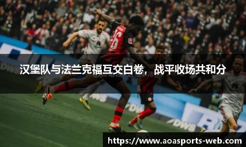 aoa体育官网