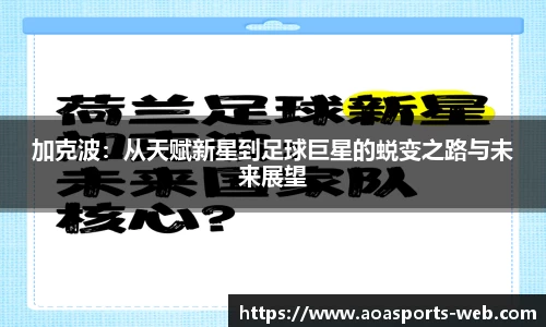 aoa体育平台